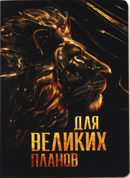 Ежедневник А5+, 100 л. Мягкая обл. Софт-тач 