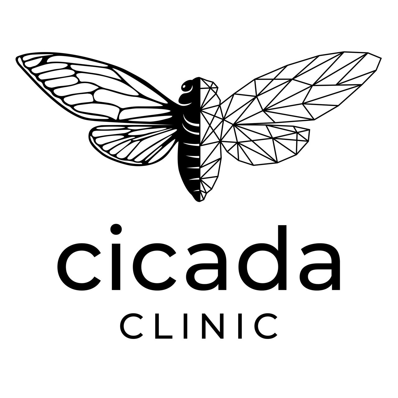 Cicada