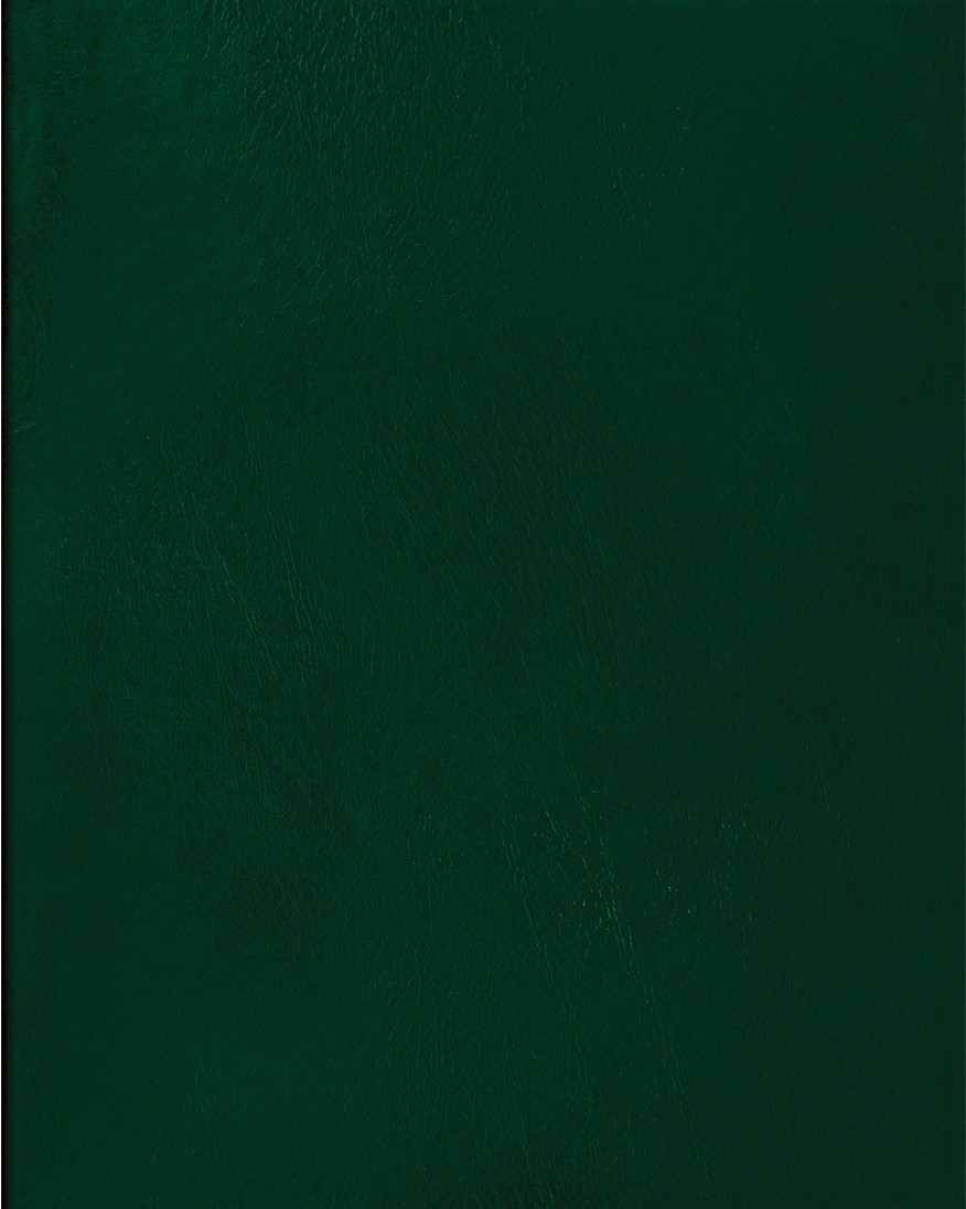 Тетрадь 48л., А5 клетка BG, бумвинил, зеленый1/28