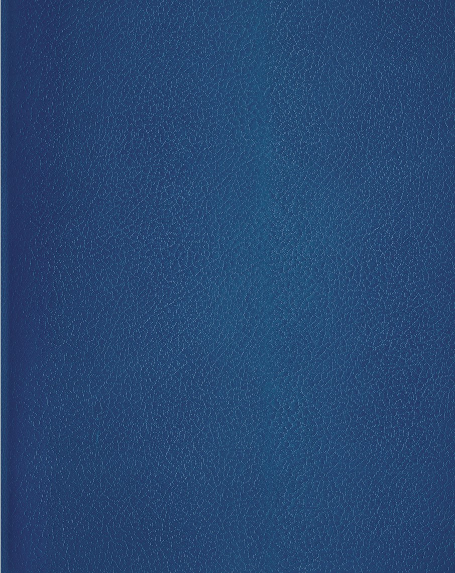Тетрадь 48л., А5 клетка BG, бумвинил, синий1/28